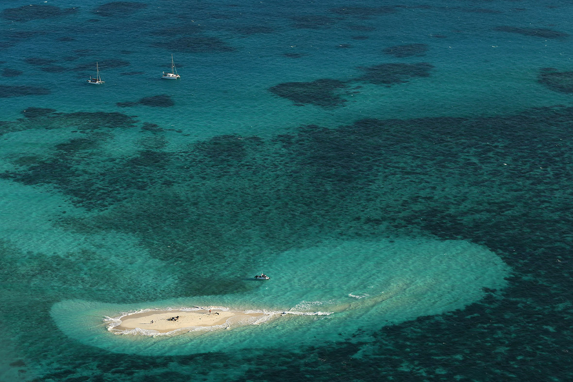 An aerial view of Vlassof Cay in the Great Barrier Reef