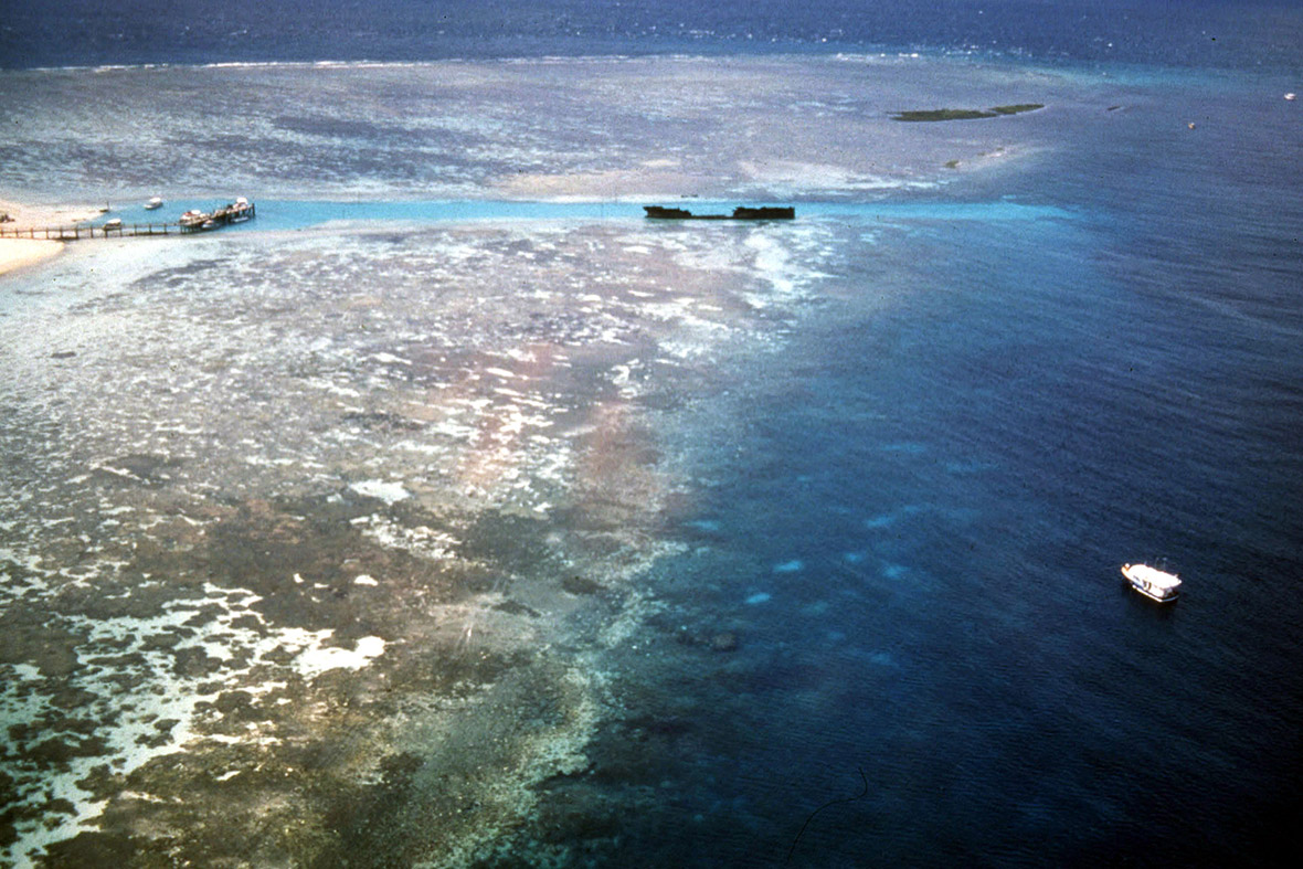 great barrier reef dying