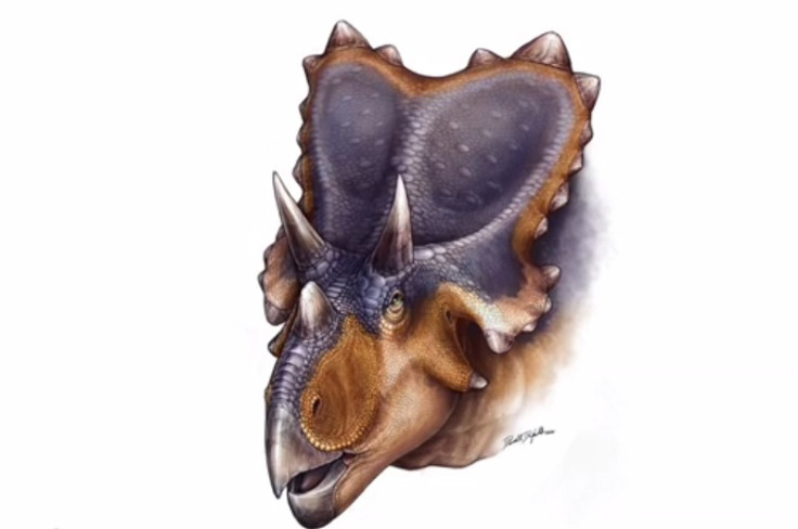 Mercuriceratops Gemini