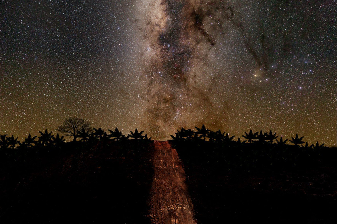 Stellar Way by Leonardo Delgado Ariza