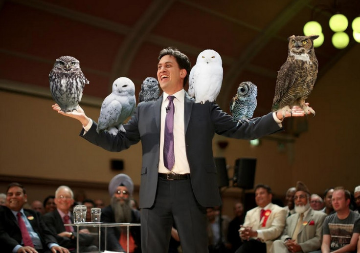 Huffington Post imagined how Ed Miliband would deliver an 'owl for policy'