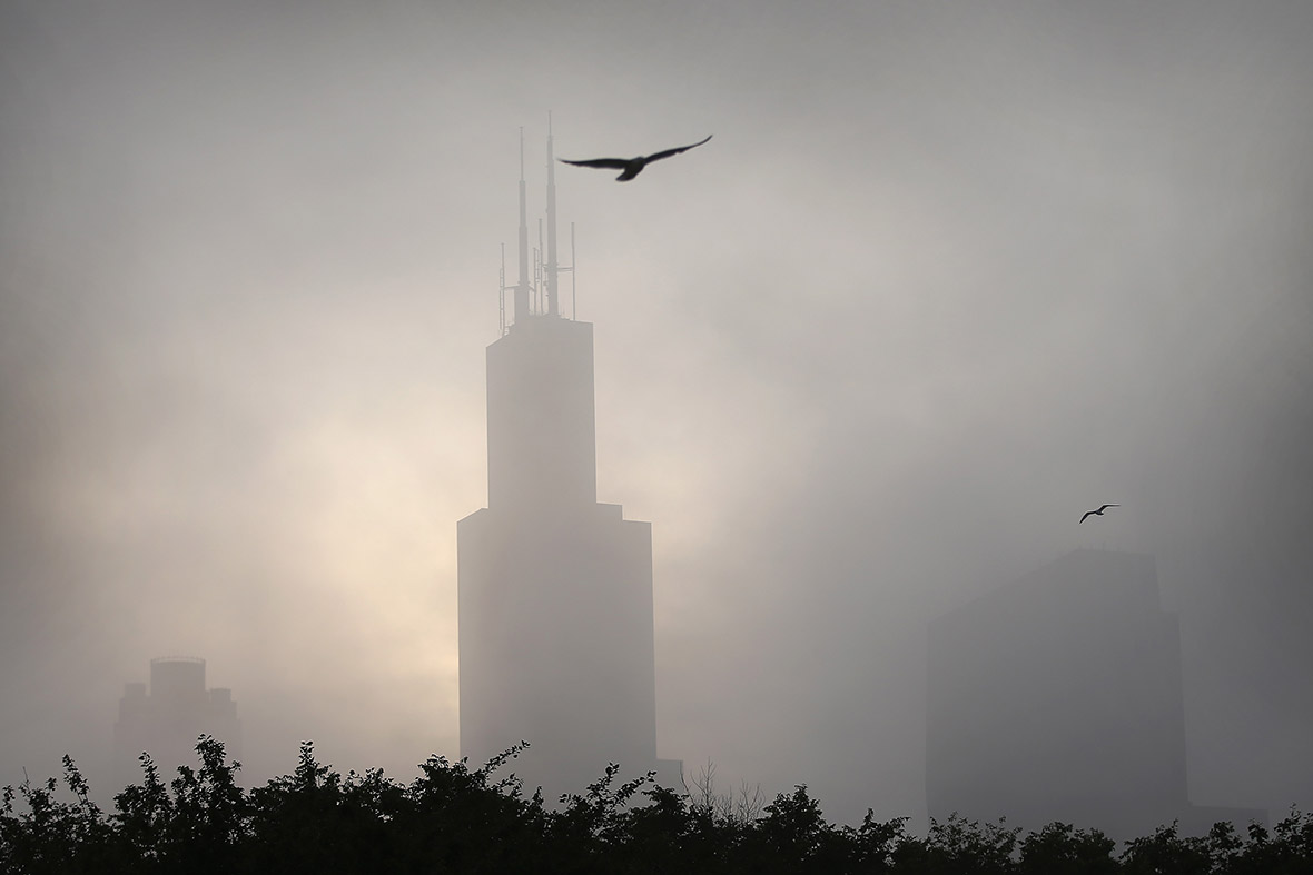 fog chicago
