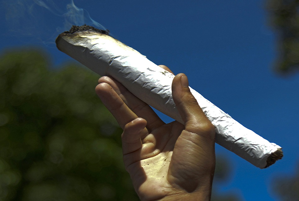 British Medical Association will hear using cannabis - like in the enormous joint above, should not be a criminal matter British Medical Association will hear using cannabis - like in the enormous joint above, should not be a criminal matter