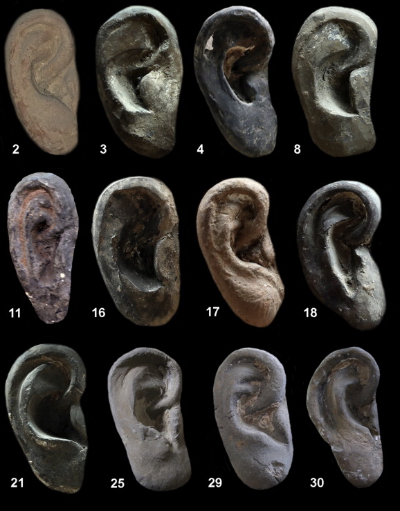 Researchers analysed the ears of 30 terracotta warriors and fed images into a computer, which created 3D models Researchers analysed the ears of 30 terracotta warriors and fed images into a computer, which created 3D models