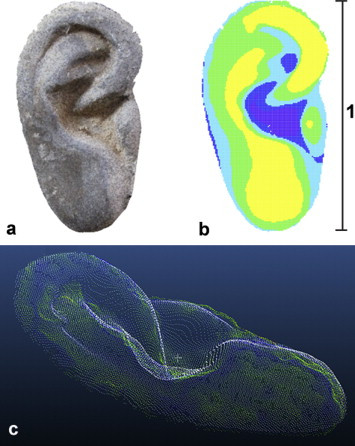 How a Terracotta soldier's ear is digitally mapped onto the computer How a Terracotta soldier's ear is digitally mapped onto the computer