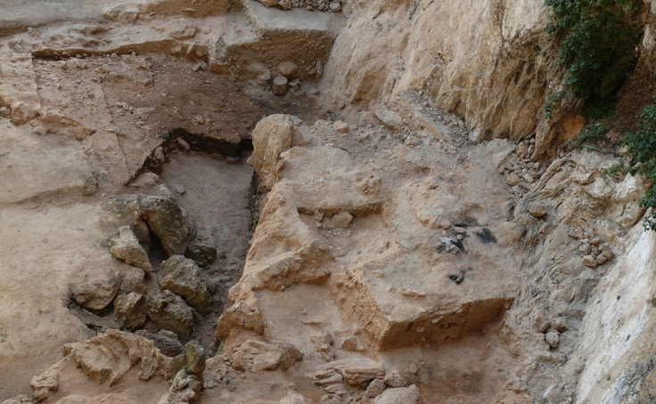 Neanderthal excrement site