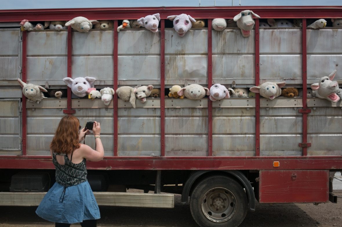 glasto banksy glasto banksy