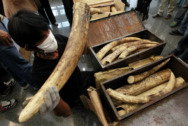 Thai Ivory Market elephant poaching