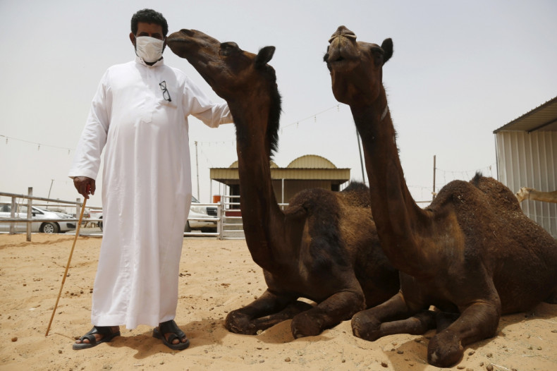 saudi arabia camel man