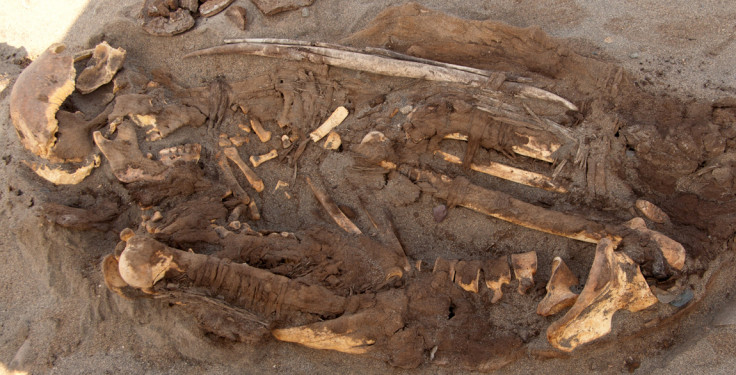 Peruvian mummies 2