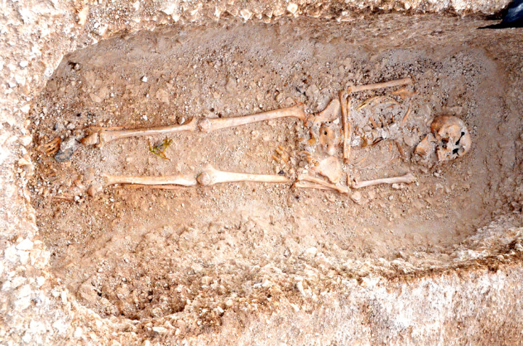 Skeletons of Roman family found in Dorset 2