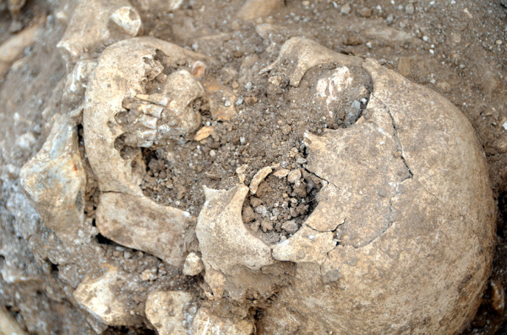 Skeletons of Roman family found in Dorset 3