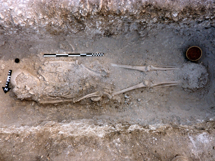Skeletons of Roman family found in Dorset 4