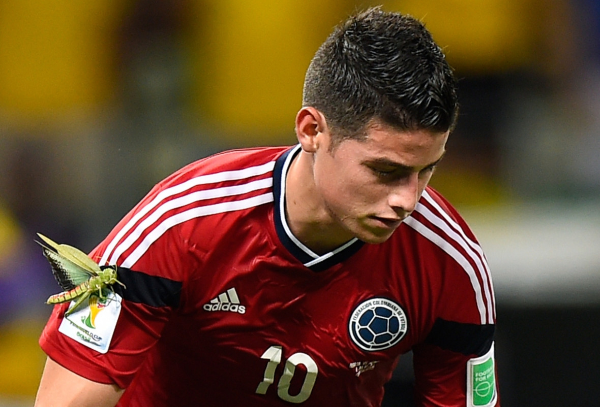 The locust has landed: The strangest moment of the World Cup as a huge insect attaches itself to Colombia's midfielder James Rodriguez The locust has landed: The strangest moment of the World Cup as a huge insect attaches itself to Colombia's midfielder James Rodriguez