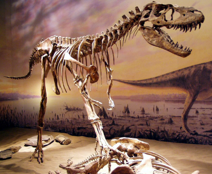 The Gorgosaurus was a bipedal predator which could weigh up to nearly three tonnes