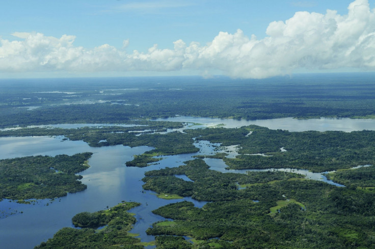 amazon rainforest