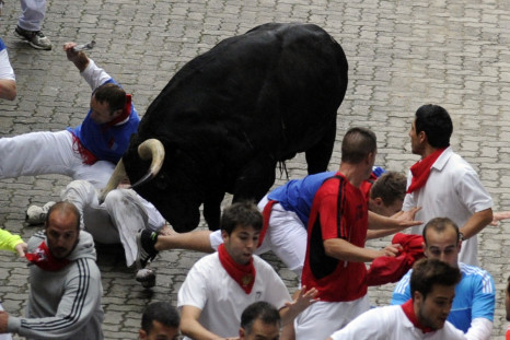 The Pamplona Bull Run