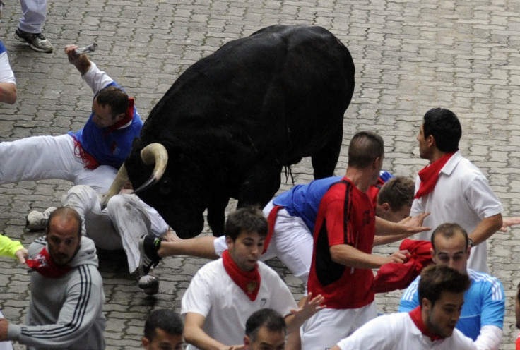 The Pamplona Bull Run