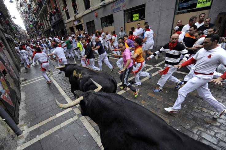 Revenge of the Bulls: Author of Pamplona bull-run survival guide badly injured by, that's right, a bull
