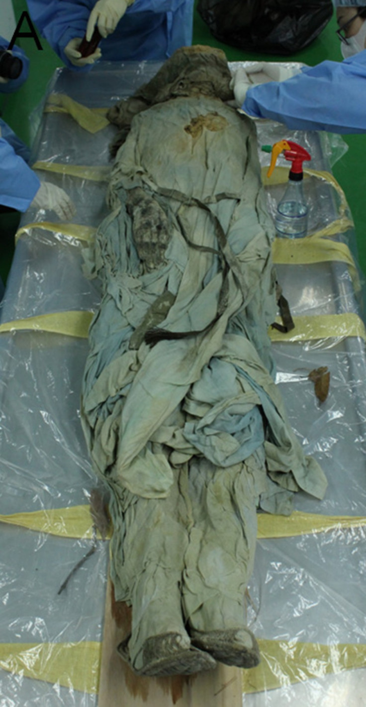 korean mummy