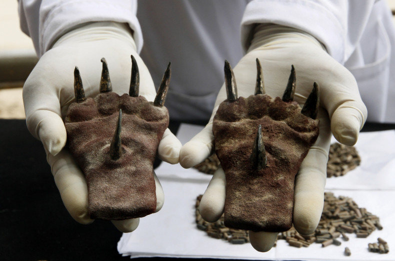 A pair of metal claws found at a tomb from the Moche culture recently excavated at the Huaca de la Luna archaeological site in the city of Trujillo