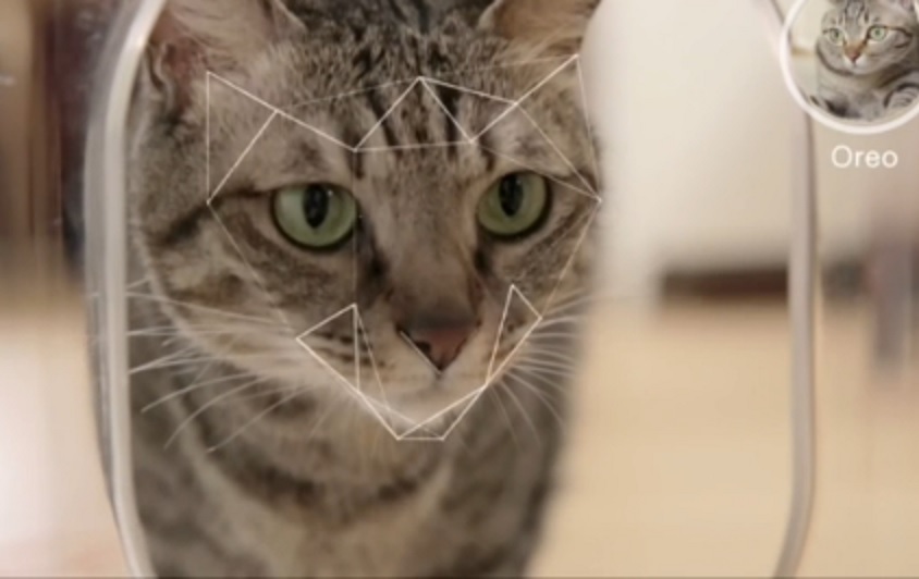 Here, kitty kitty: Futuristic technology to feed pets when owner is out and also do health alerts