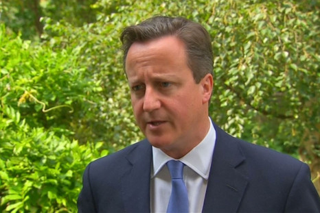 Malaysia Airlines MH17: David Cameron Calls For Swift Investigation