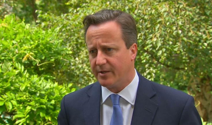 Malaysia Airlines MH17: David Cameron Calls For Swift Investigation