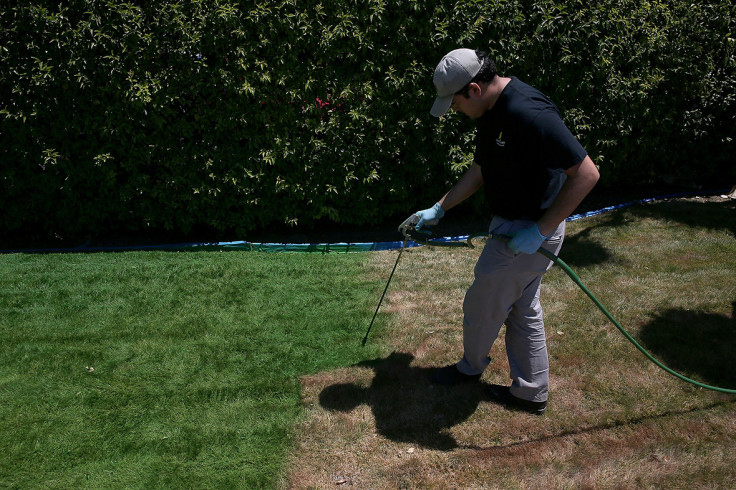 painting grass green