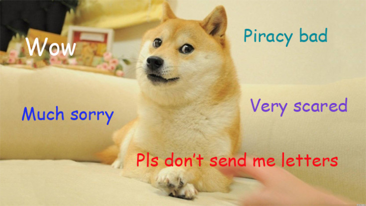 UK piracy doge
