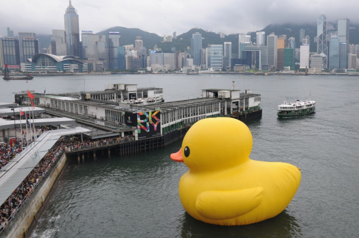 hong kong duck