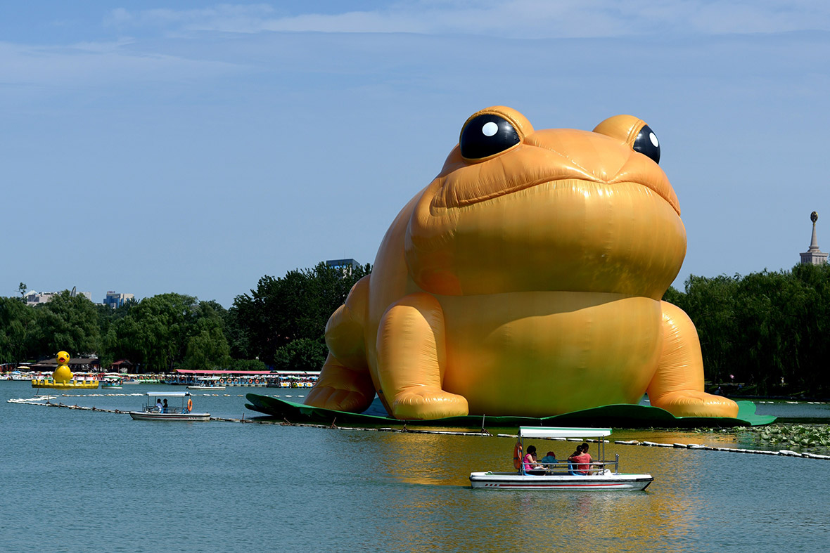 giant inflatable frog