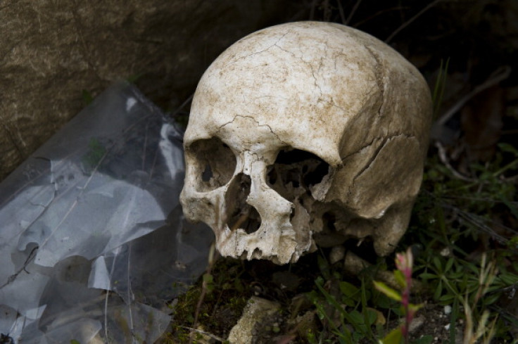Over 400 skeletons were discovered in a mass grave high up in the Andes