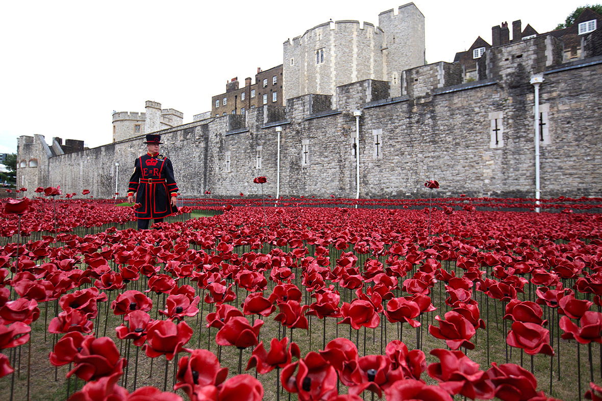 tower of london poppies