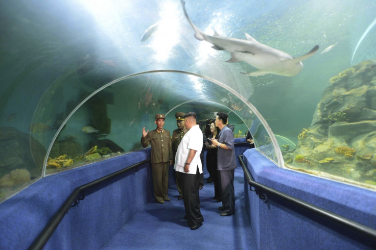 Aquarium at Songdowon International Children's Camp: Fancying sleeping with the fishes?