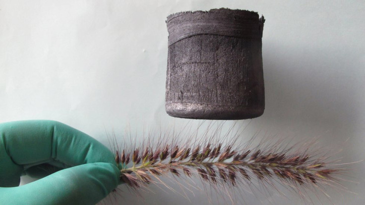 Graphene aerogel resting on a delicate plant