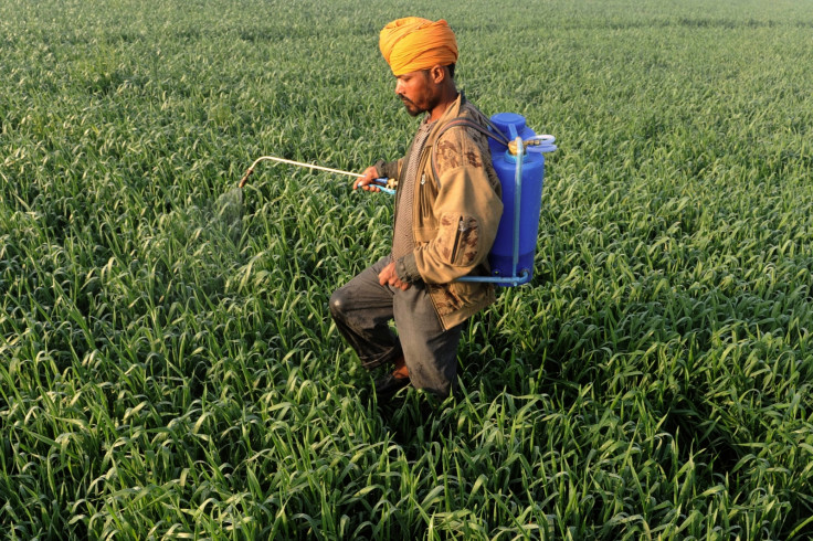 Experts believe the use of pesticides in India's Punjab is behind increasing cancer rates. (AFP/Getty Narinder Nanu)