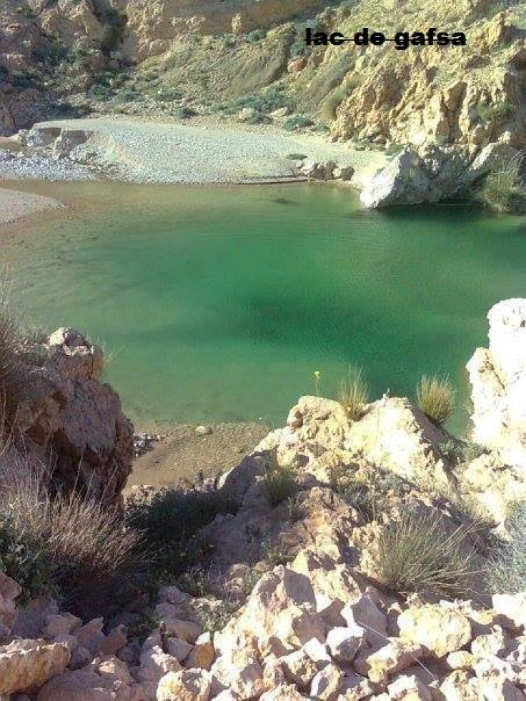 The waters of Lake Gafsa are turning green and is now full of algae.