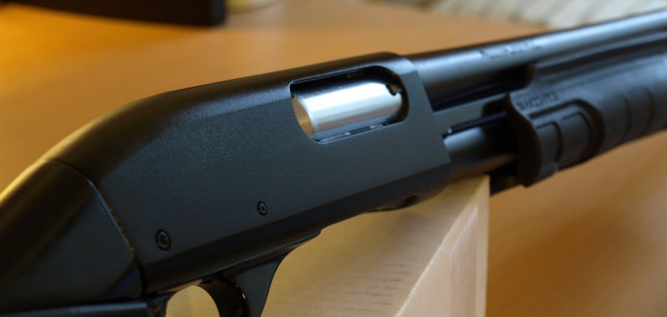 Shotgun (cropped)