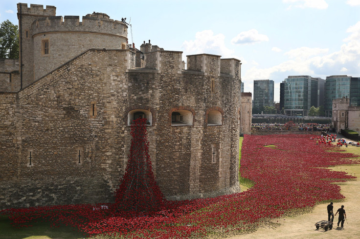 tower of london poppies