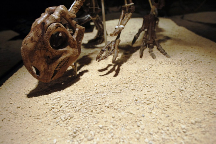 Psittacosaurus