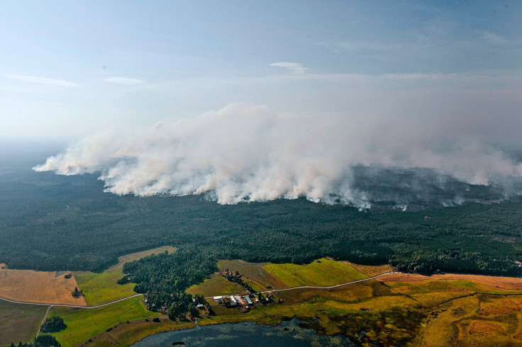 sweden forest fire