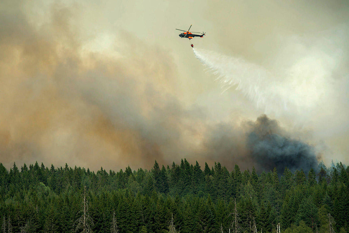 sweden forest fire