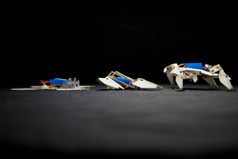 Origami robots designed by MIT and Harvard are able to fold up by themselves and crawl away