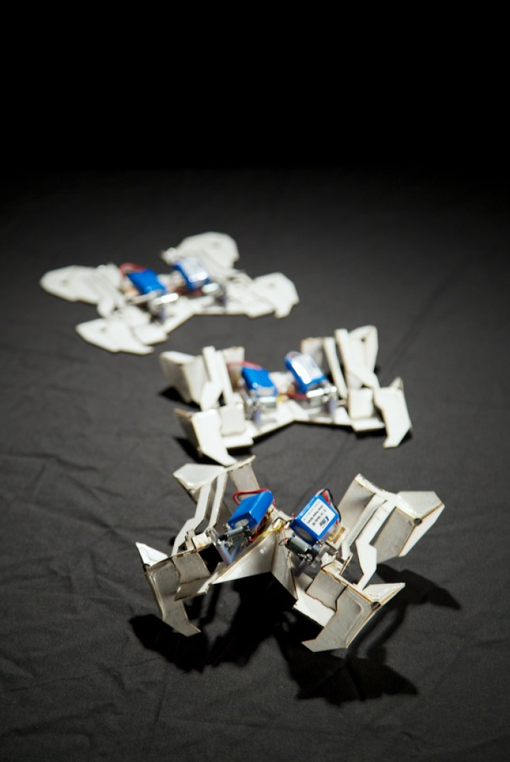 The origami robot at three different stages of self-folding