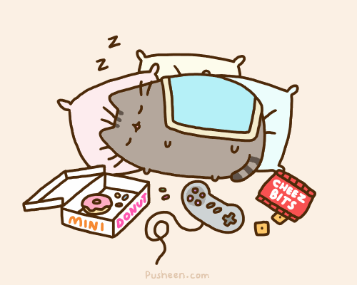 Pusheen, an adorable animated gif web comic about a cat that acts like a human