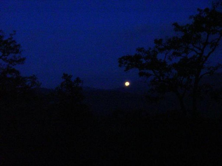 Sabrimala celestial light