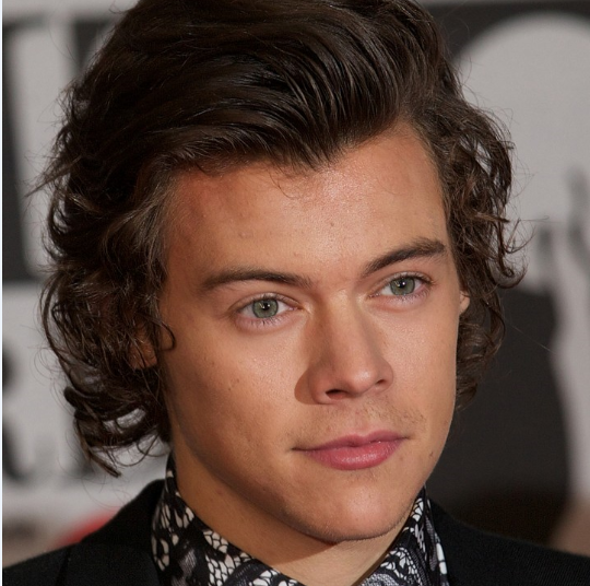 Harry Styles dating Nadine Leopold? One Direction star 'getting more ...