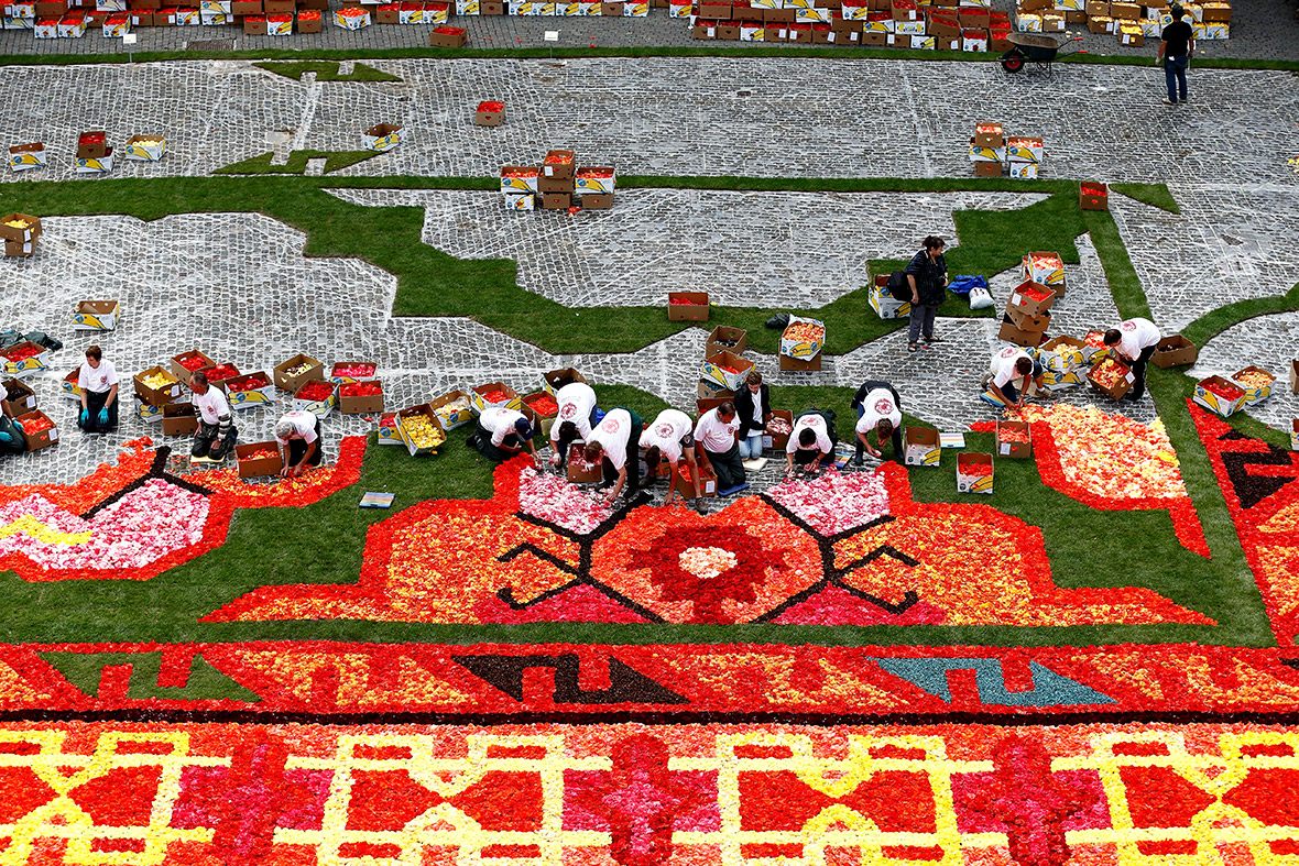 brussels grand place flower carpet 2014