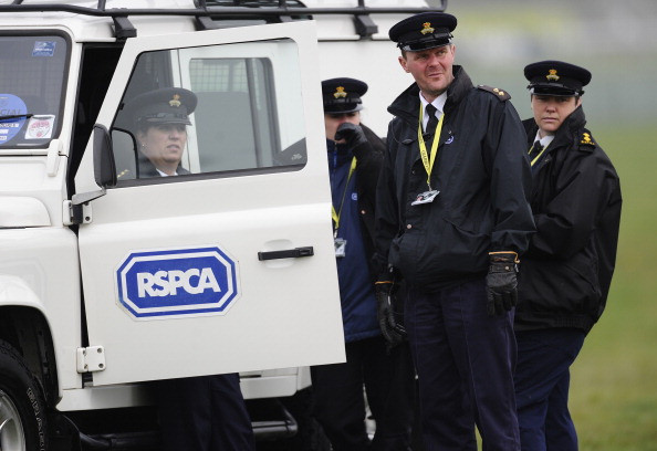 RSPCA